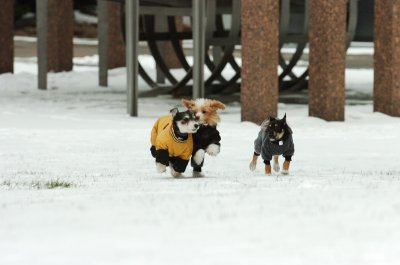 Jan22_07_116.JPG