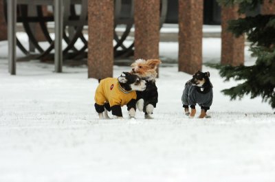 Jan22_07_117.JPG