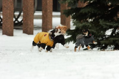 Jan22_07_119.JPG