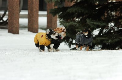 Jan22_07_120.JPG