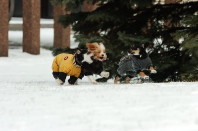 Jan22_07_121.JPG