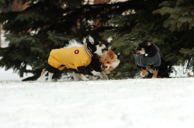 Jan22_07_123.JPG