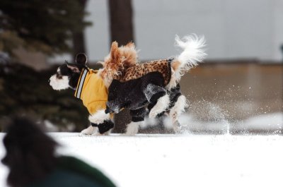 Jan22_07_133.JPG