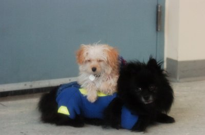 Jan27_07_317.JPG