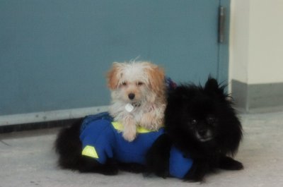 Jan27_07_318.JPG