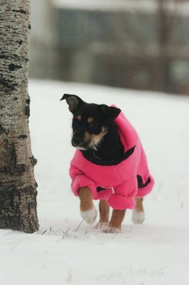 Jan27_07_319.JPG