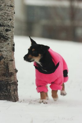 Jan27_07_320.JPG