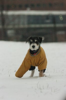 Jan27_07_321.JPG