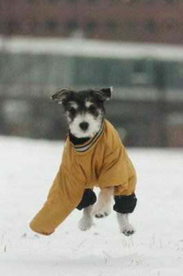 Jan27_07_323.JPG