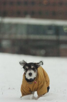 Jan27_07_324.JPG
