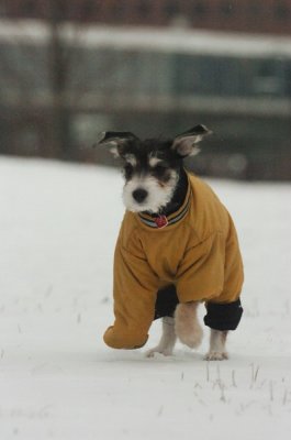Jan27_07_325.JPG