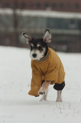 Jan27_07_326.JPG