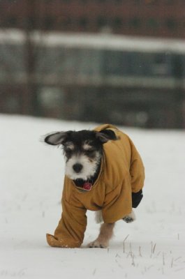 Jan27_07_327.JPG