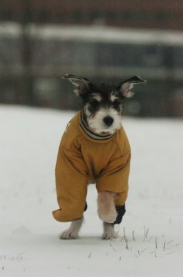 Jan27_07_328.JPG