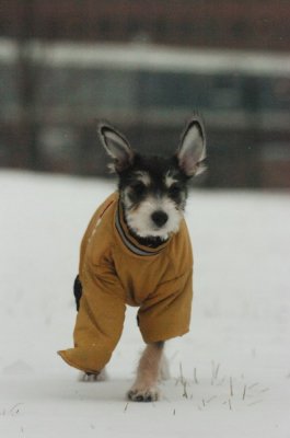 Jan27_07_329.JPG
