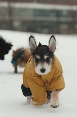 Jan27_07_330.JPG