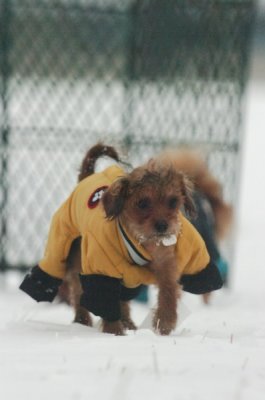 Jan27_07_332.JPG