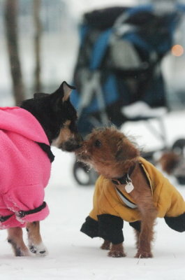 Jan27_07_336.JPG