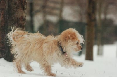 Jan27_07_340.JPG