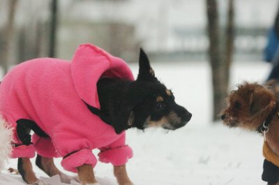 Jan27_07_342.JPG