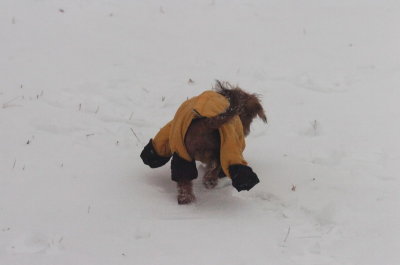 Jan27_07_345.JPG