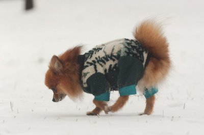 Jan27_07_346.JPG