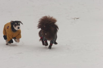 Jan27_07_348.JPG