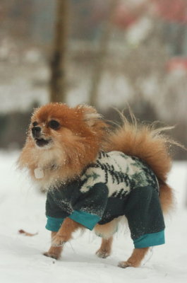 Jan27_07_351.JPG