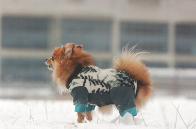 Jan27_07_352.JPG
