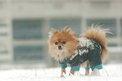 Jan27_07_354.JPG