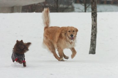 Jan28_07_735.JPG