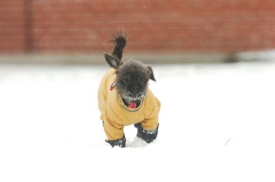Jan28_07_386.JPG