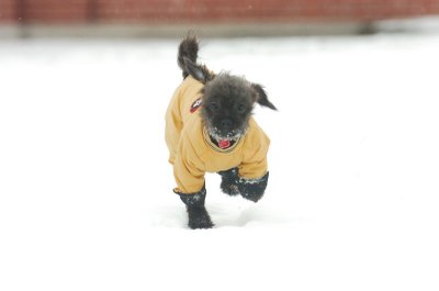 Jan28_07_387.JPG