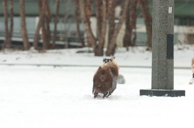 Jan28_07_388.JPG