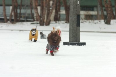 Jan28_07_389.JPG