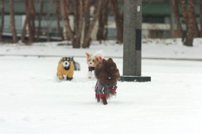 Jan28_07_390.JPG