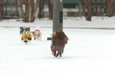 Jan28_07_391.JPG