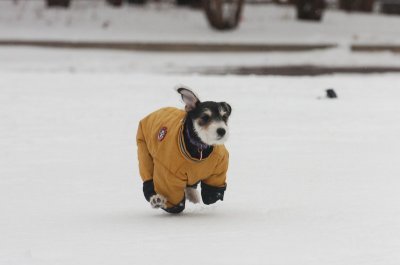 Jan28_07_392.JPG