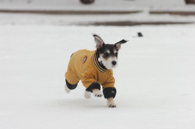Jan28_07_393.JPG