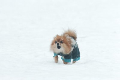 Jan28_07_398.JPG