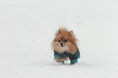 Jan28_07_399.JPG