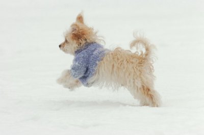 Jan28_07_403.JPG