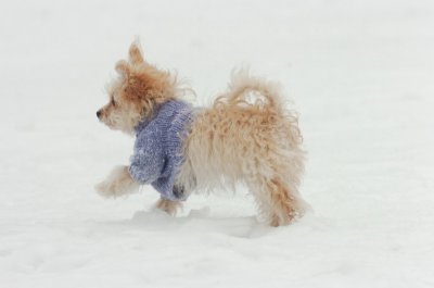 Jan28_07_404.JPG