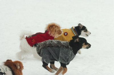 Jan28_07_406.JPG