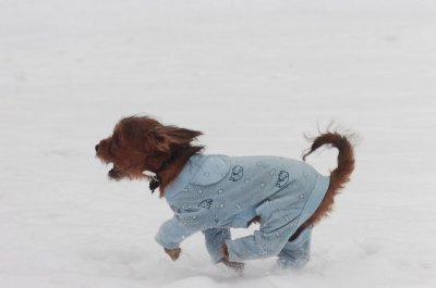 Jan28_07_409.JPG