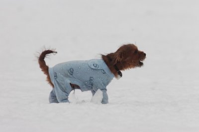Jan28_07_412.JPG