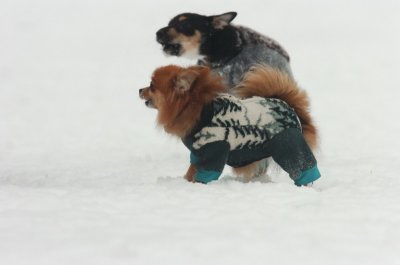 Jan28_07_413.JPG