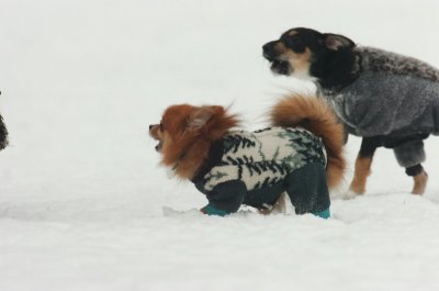 Jan28_07_414.JPG
