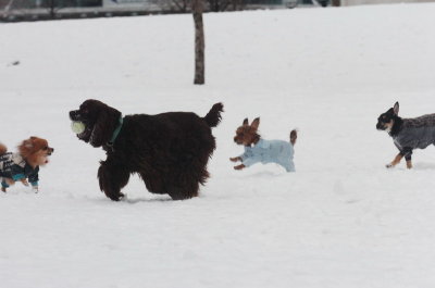 Jan28_07_418.JPG