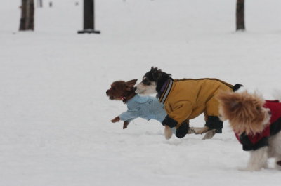 Jan28_07_420.JPG